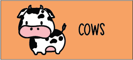cat-cows