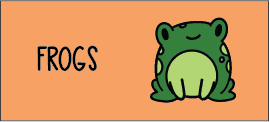 cat-frogs