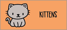 cat-kittens
