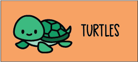 cat-turtles
